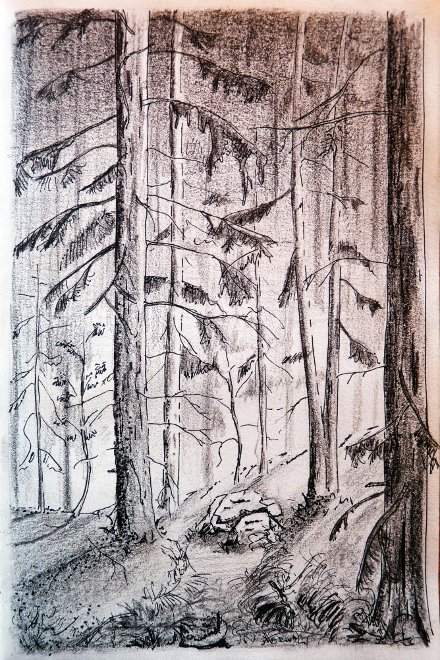 Forêt