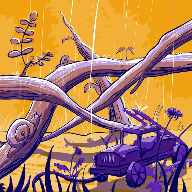 Petrichor Caracole Jouet